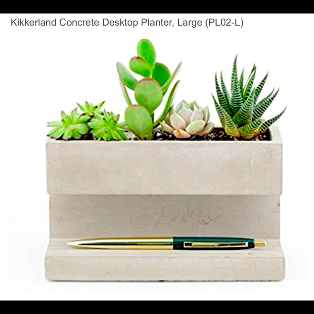 Desktop Planter and Pen Holder